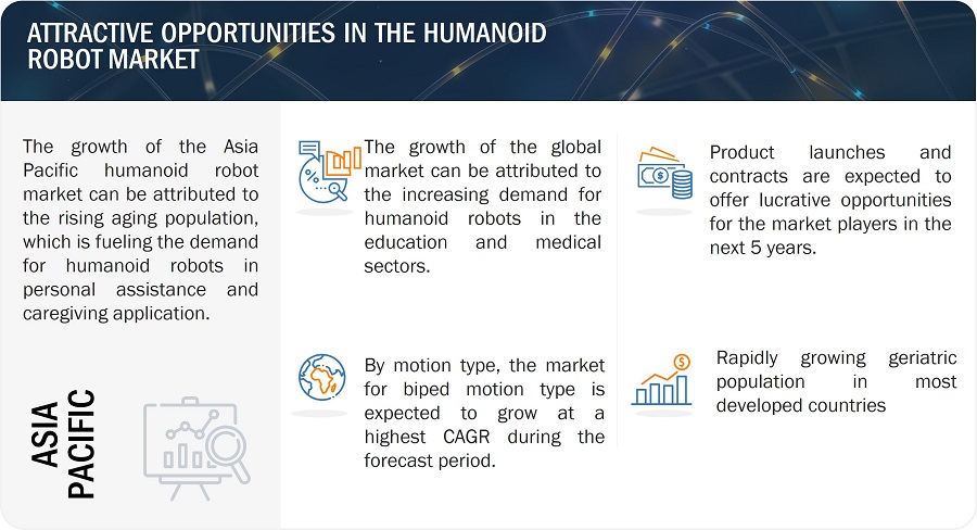 Humanoid Robot Market