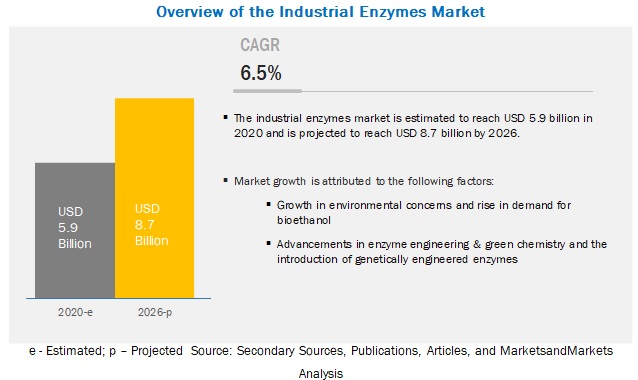 Industrial Enzymes Market