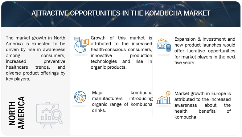Kombucha Market Opportunities