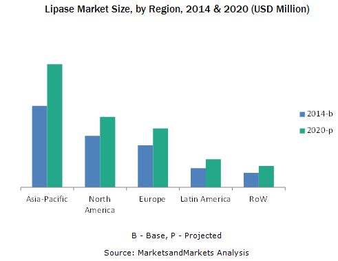 Lipase Market