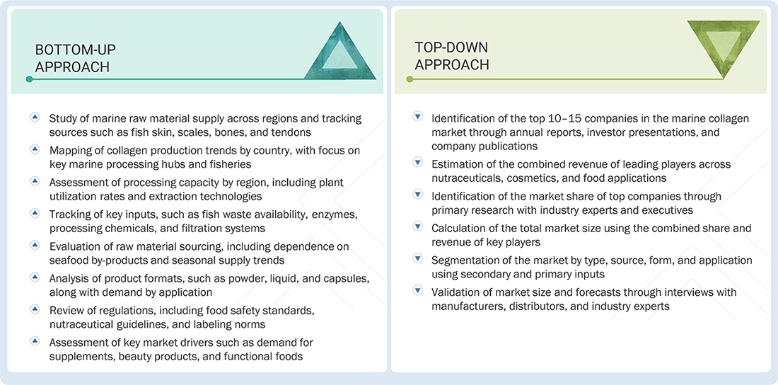 Marine Collagen Market Top Down and Bottom Up Approach Marine Collagen Market Top Down and Bottom Up Approach