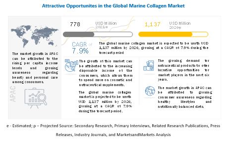 Marine Collagen Market