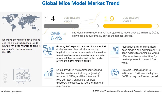 Mice Model Market Trends & Growth Drivers | MarketsandMarkets