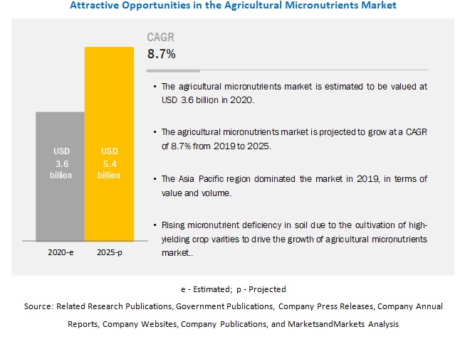 Agricultural Micronutrients Market