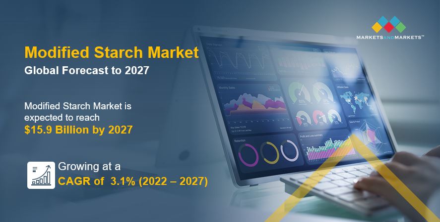 modified starch market