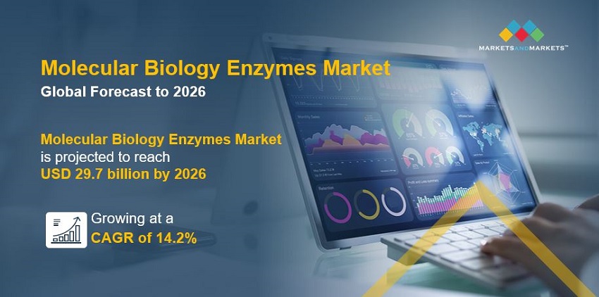 Molecular Biology Enzymes And Kits & Reagents Market 