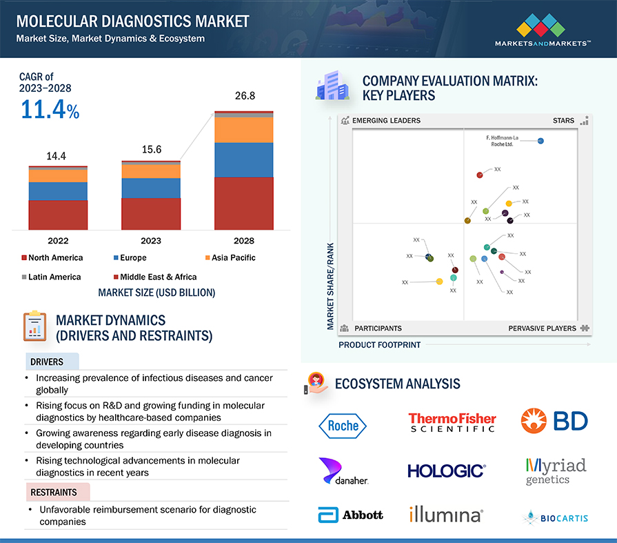 Molecular Diagnostics Market