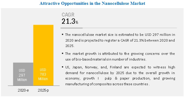 Nano Cellulose Market