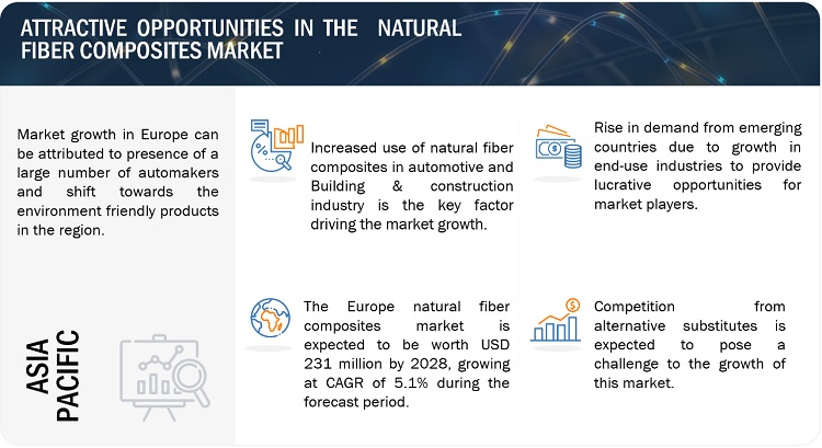 Natural Fiber Composites Market