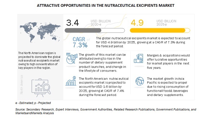 Nutraceutical Excipients Market