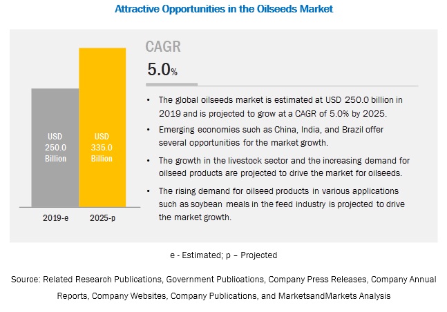 Oilseeds Market