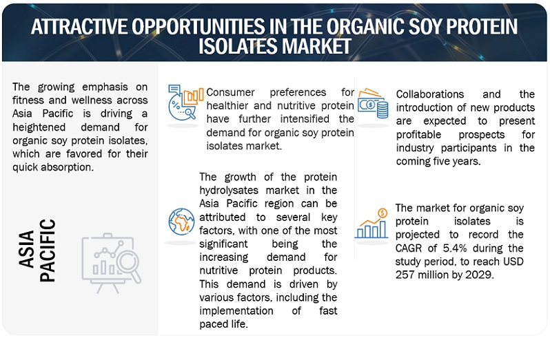 Organic Soy Protein Isolates Market Opportunities