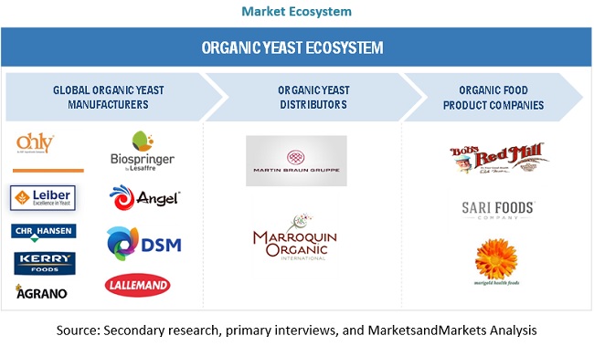 Organic Yeast Market Ecosystem
