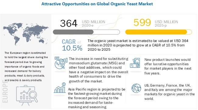 Organic Yeast Market