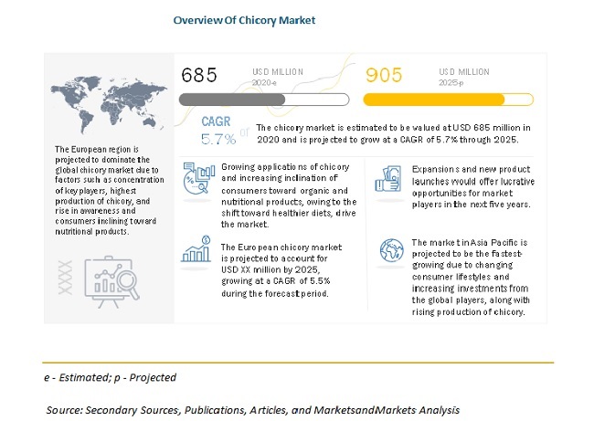 Chicory Market Size, Share, Trends, and Forecasts to 2025 | MarketsandMarkets