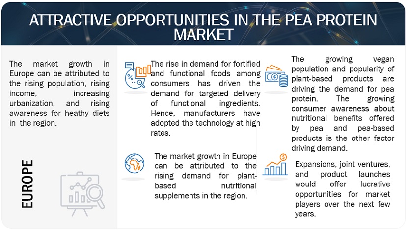 Pea Protein Market Opportunities