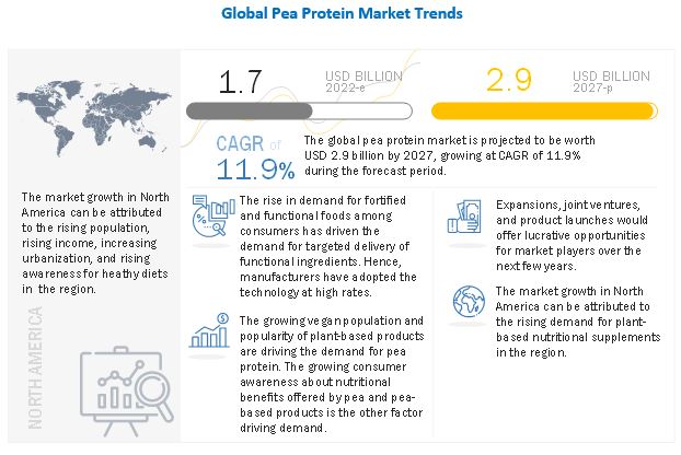 Pea Protein Market