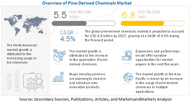 Pine-Derived Chemicals Market