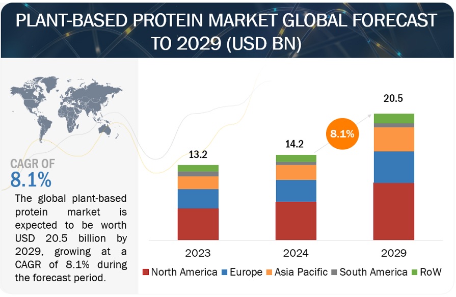 Plant Based Protein Market Overview