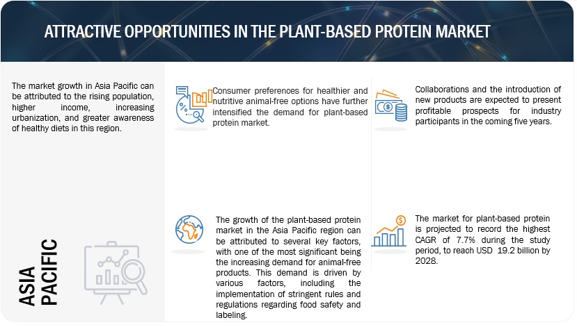 Plant-based Protein Market