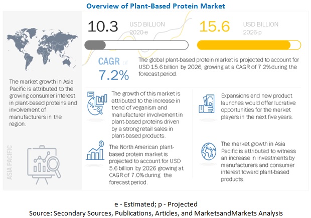 Plant-based Protein Market