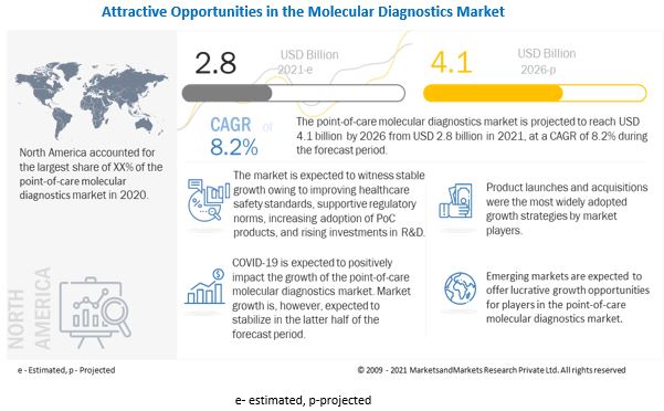 Point of Care Molecular Diagnostics Market 