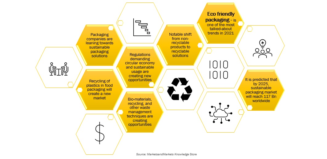 Sustainable Packaging Practices for EVs