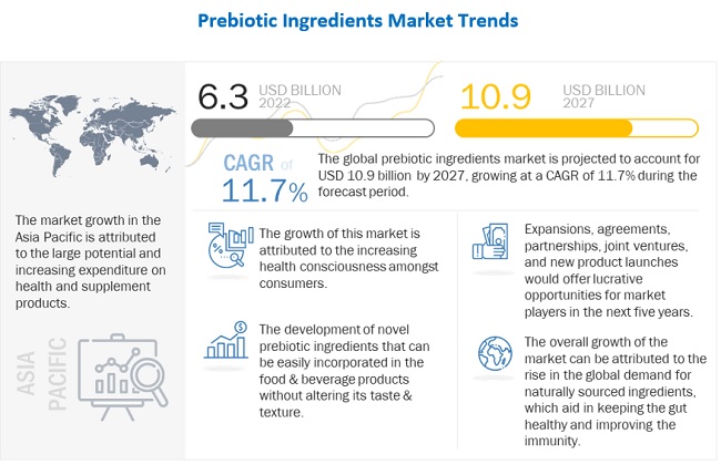 Prebiotic Ingredients Market