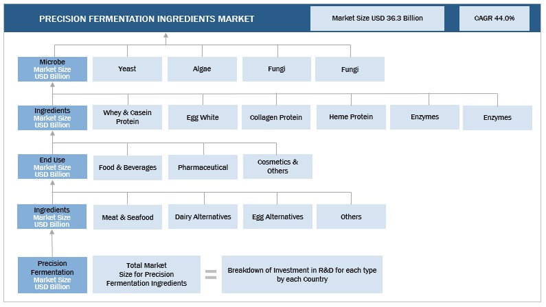 Precision Fermentation Ingredients Market Size, and Share