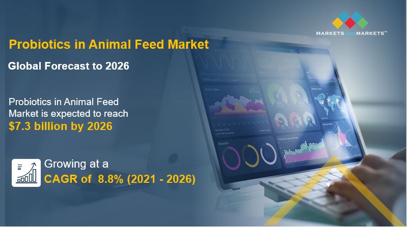 Probiotics in the Animal Feed Market