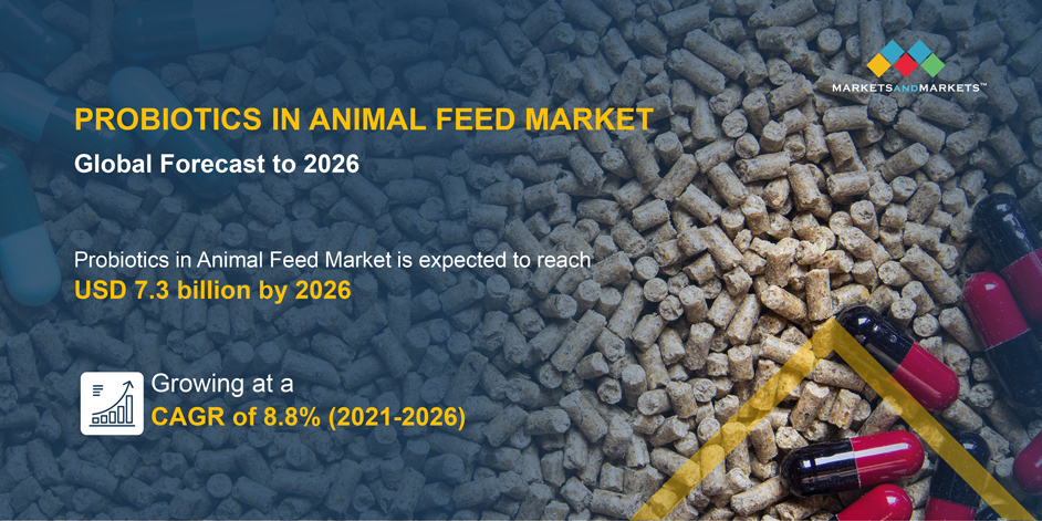 Probiotics in Animal Feed Market Analysis | MarketsandMarkets