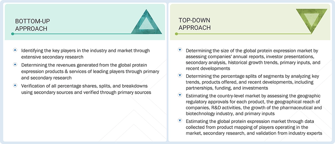 Protein Expression Market Top Down and Bottom Up Approach