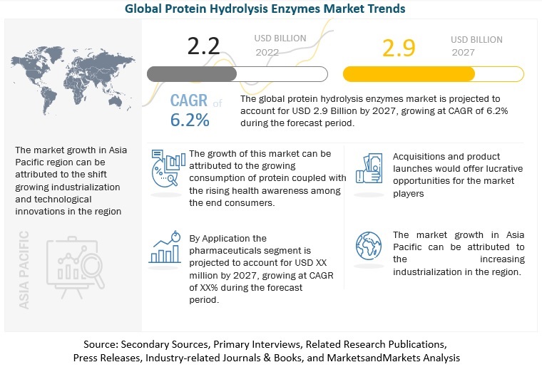 Protein Hydrolysis Enzymes Market