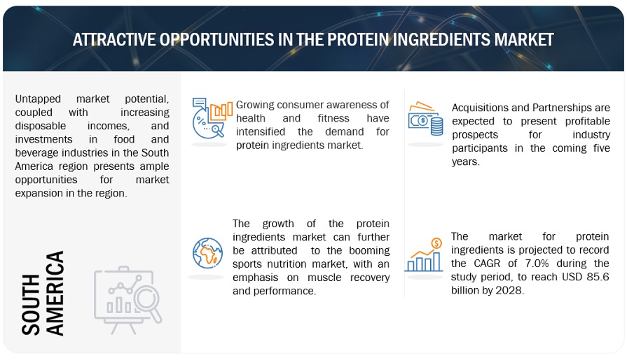 Protein Ingredients Market