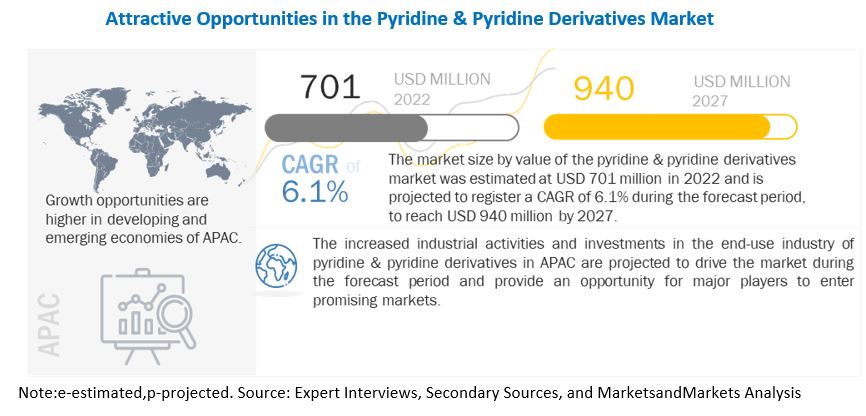 Pyridine & Pyridine Derivatives Market 