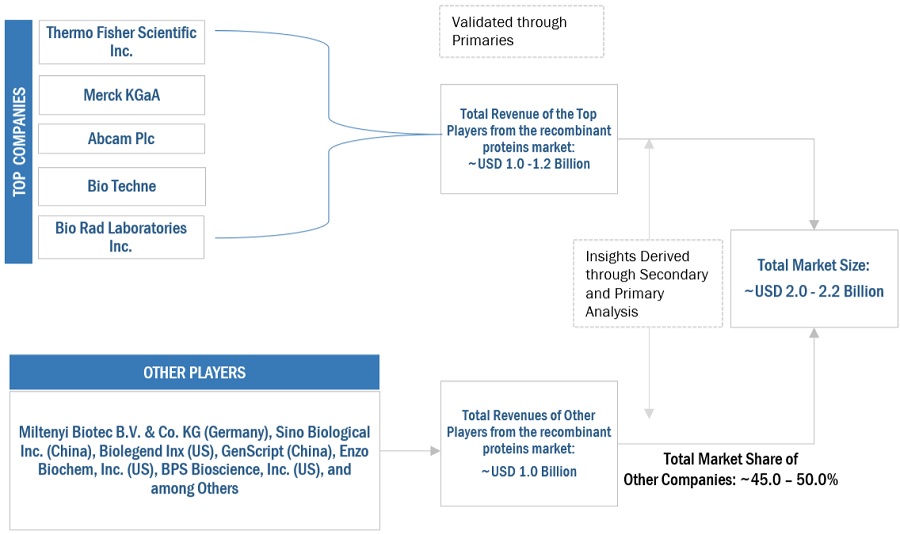 Recombinant proteins Market Size, and Share 