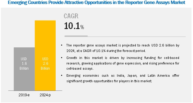 Reporter Gene Assay Market