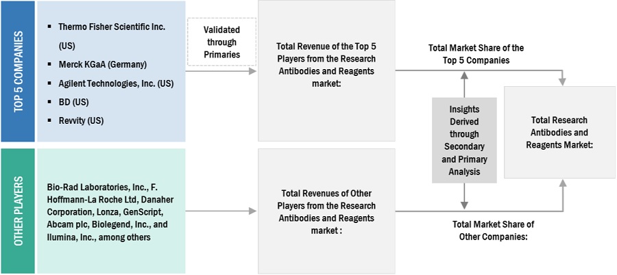 Research Antibodies and Reagents Market Size, and Share 