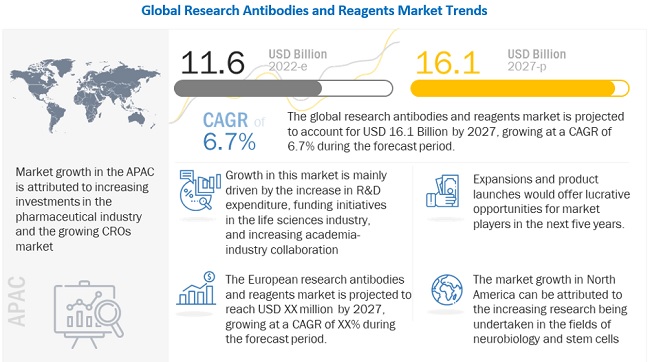 Research Antibodies & Reagents Market