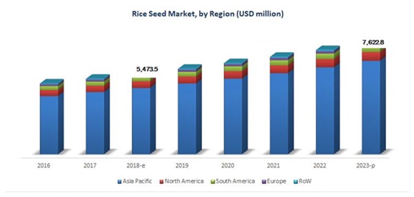 Rice Seeds Market  Size, and Share 