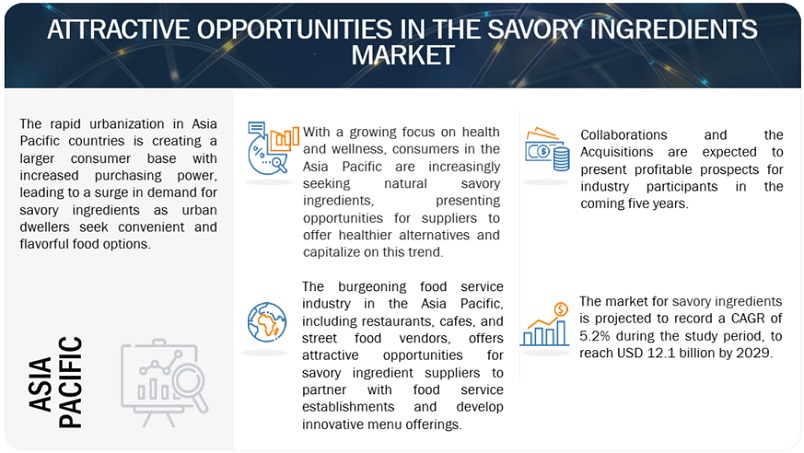 Savory Ingredients Market Opportunities