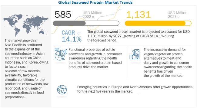  Seaweed Protein Market