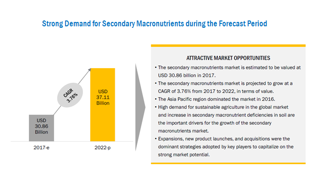 Secondary Macronutrients Market by Nutrient & Form - Global Forecast 2022 | MarketsandMarkets