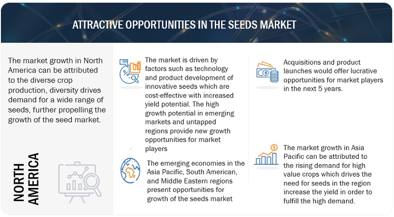 Seeds Market 