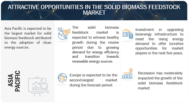 Solid Biomass Feedstock Market Opportunities