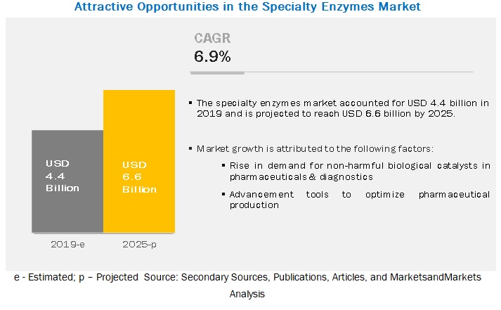 Specialty Enzymes Market