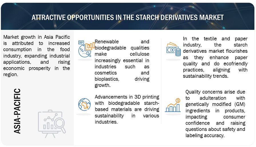 Starch Derivatives Market