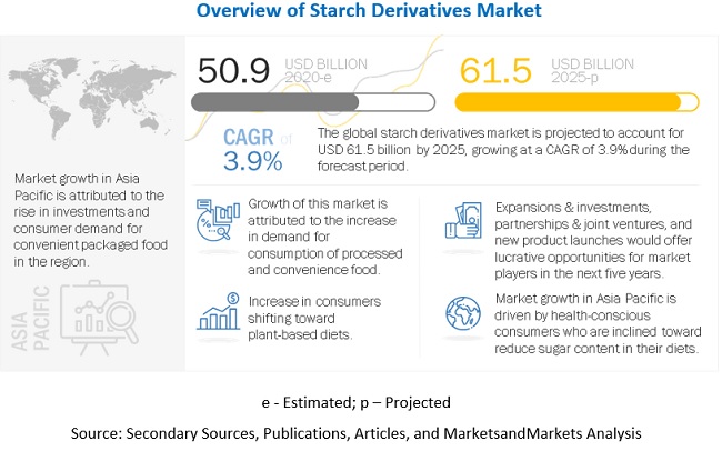 Starch Derivatives Market