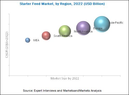 Starter Feed Market