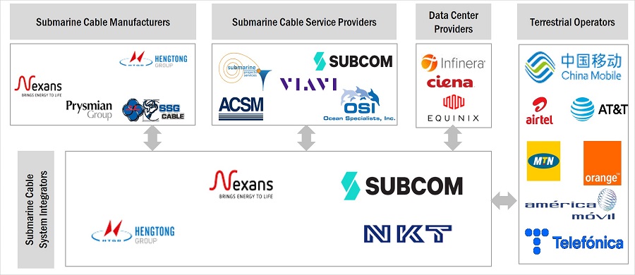 Submarine Cable Systems Market by Ecosystem 